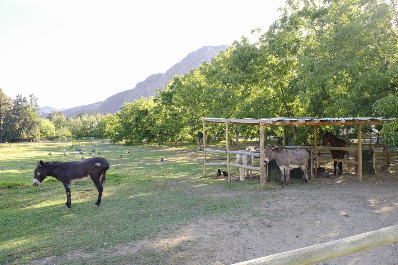 De Bos Lodge Montagu
